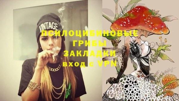 скорость Богородицк