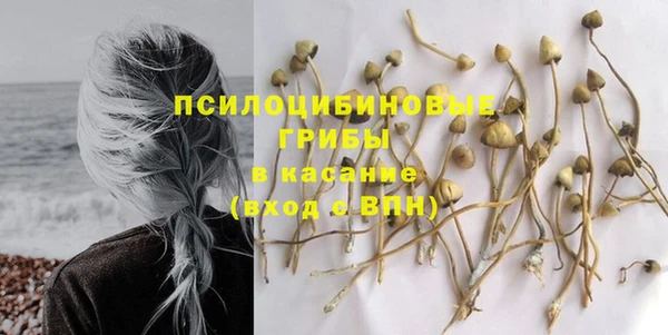 скорость Богородицк