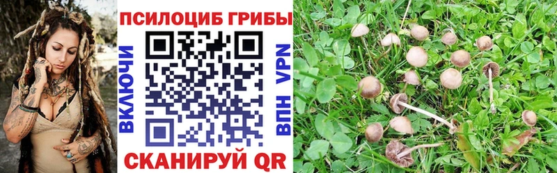 Галлюциногенные грибы GOLDEN TEACHER  купить  сайты  Обь 